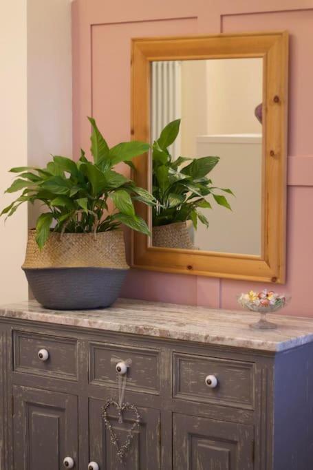 Apartment Cute With Kitchen, Patio And Free Parking Worthing